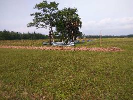  Residential Plot for Sale in Joka, Kolkata