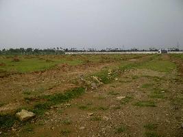  Agricultural Land for Sale in Action Area I, New Town, Kolkata