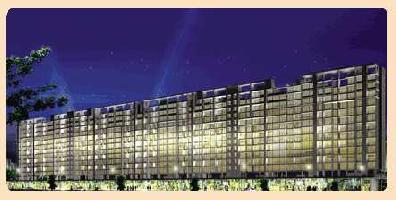 1 BHK Flat for Sale in Sector 2 Charkop, Kandivali West, Mumbai