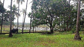  Residential Plot for Sale in Panjim, Goa