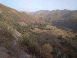  Agricultural Land for Sale in Ramnagar, Nainital