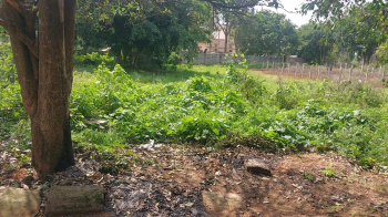  Residential Plot for Sale in Chandapura, Bangalore