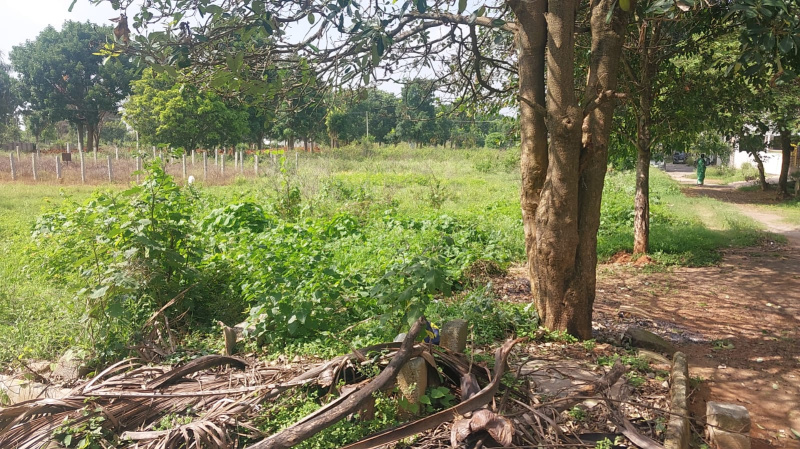  Residential Plot 2400 Sq.ft. for Sale in Chandapura, Bangalore
