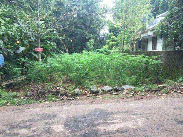 Residential Plot 8 Cent for Sale in Chingavanam, Kottayam