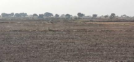  Agricultural Land for Sale in Kulana, Jhajjar