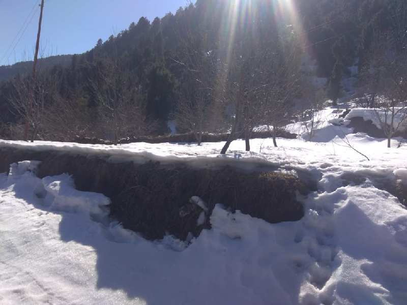 Kufri, Shimla photo 2