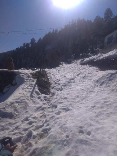 Kufri, Shimla photo 3