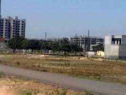  Residential Plot for Sale in Yamuna Expressway, Greater Noida