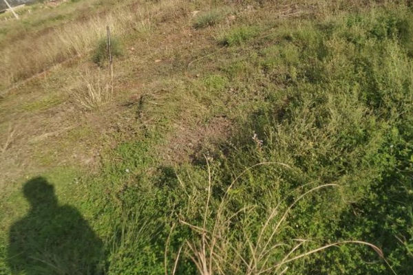  199 Sq. Yards Residential Plot for Sale in Chandpur, Bijnor