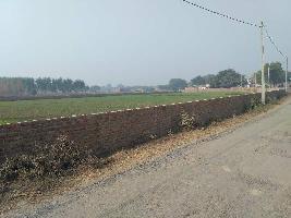  Agricultural Land for Sale in Pukhrayan, Kanpur Dehat