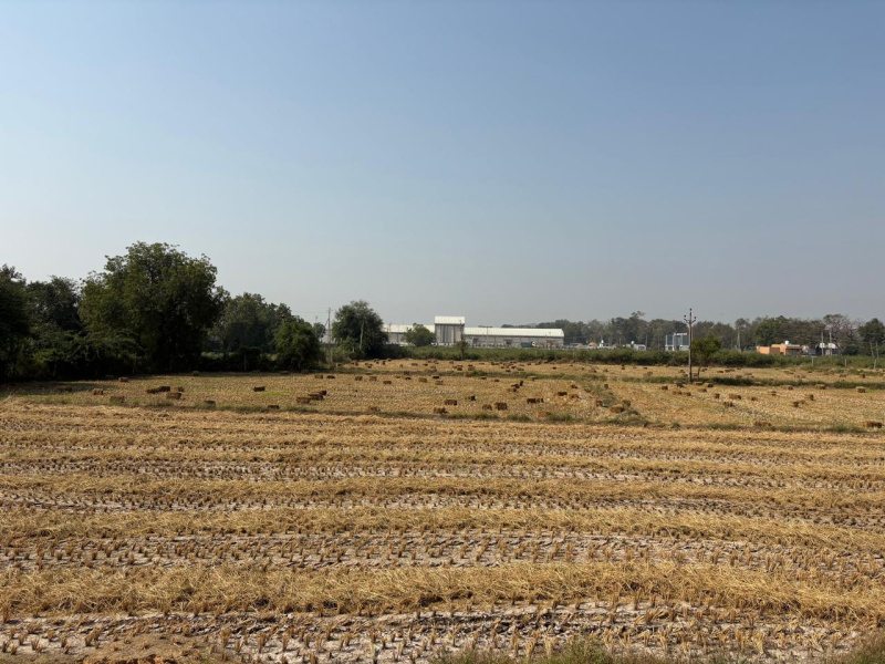 Becharaji, Mehsana photo 4