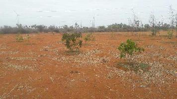  Agricultural Land for Sale in Pillaiyarkulam, Tirunelveli