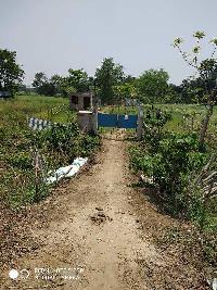  Agricultural Land for Rent in Madanpur, Nadia