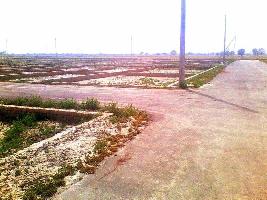 Residential Plot for Sale in Ahmamau, Lucknow