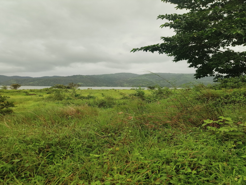  85 Sq.ft. Agricultural/Farm Land for Sale in Lavasa City, Pune