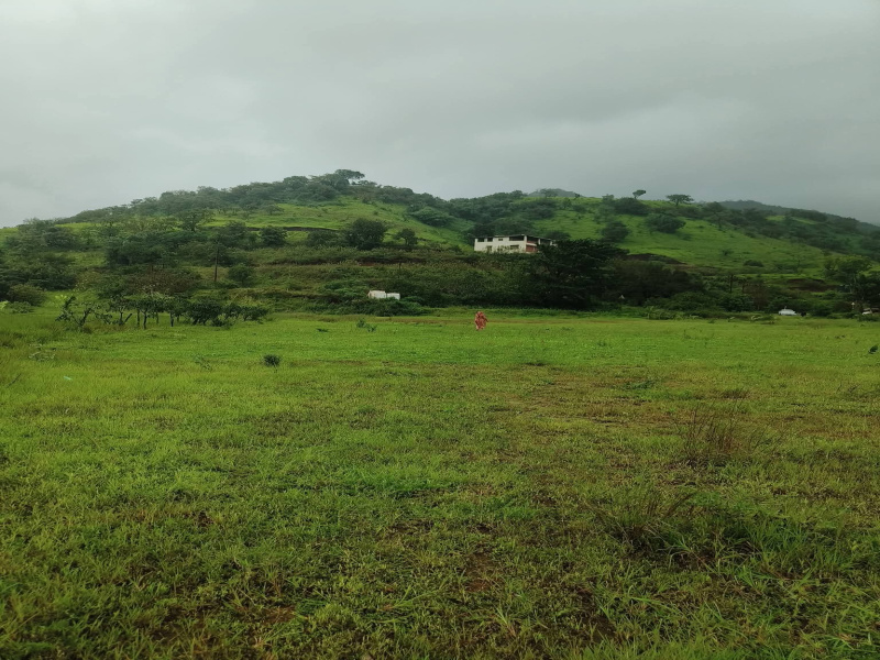  85 Guntha Agricultural/Farm Land for Sale in Lavasa City, Pune