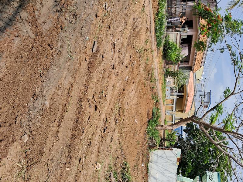  Residential Plot 3300 Sq.ft. for Sale in Annanji, Theni