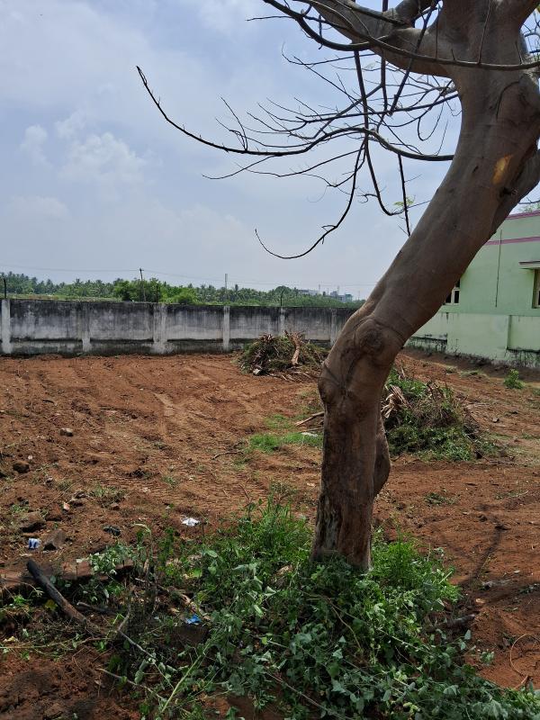  Residential Plot 3300 Sq.ft. for Sale in Annanji, Theni