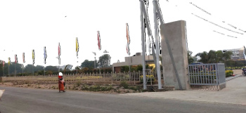  Residential Plot for Sale in Bodri, Bilaspur