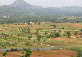  Agricultural Land for Sale in Krishnarajupuram, Bangalore