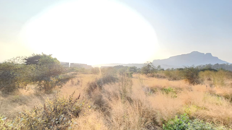  3 Acre Industrial Land for Sale in Wada, Palghar