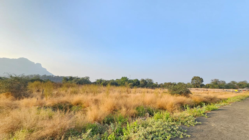  3 Acre Industrial Land for Sale in Wada, Palghar