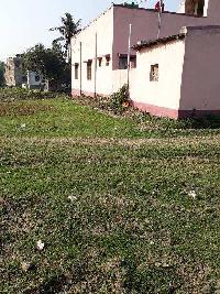  Residential Plot for Sale in Mirzapur, Bardhaman