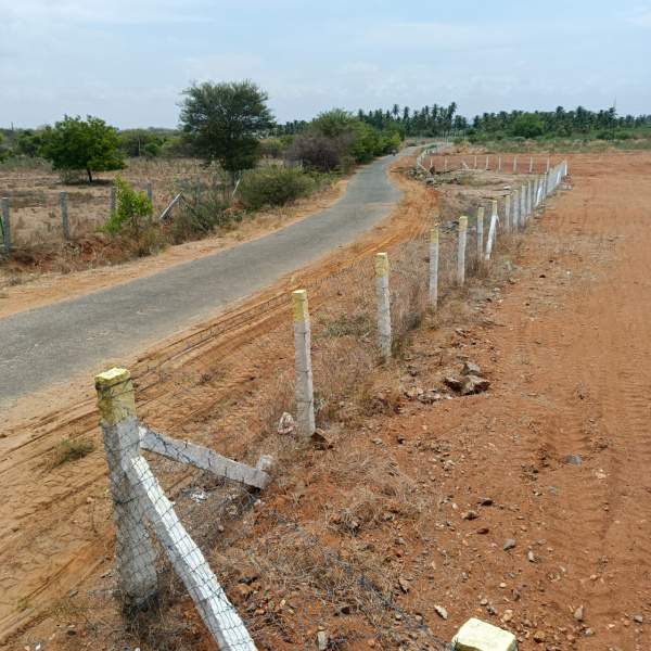 36 Ares Agricultural/Farm Land for Sale in Kangeyam, Tirupur