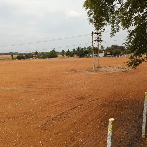 36 Ares Agricultural/Farm Land for Sale in Kangeyam, Tirupur