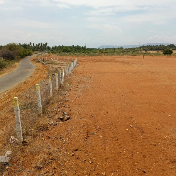 36 Ares Agricultural/Farm Land for Sale in Kangeyam, Tirupur