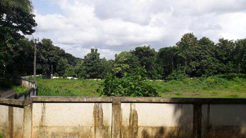 Residential Plot 2 Acre for Sale in Shoranur, Palakkad