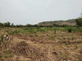  Residential Plot for Sale in Alibag, Raigad