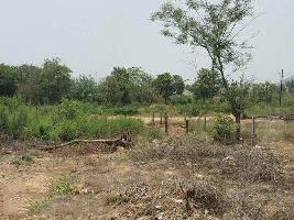  Residential Plot for Sale in Alibag, Raigad