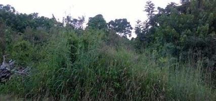  Agricultural Land for Sale in Thisayanvilai, Tirunelveli