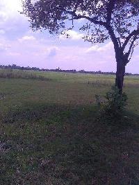  Residential Plot for Sale in Safedabad Road, Lucknow