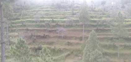  Agricultural Land for Sale in Mukteshwar, Nainital