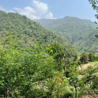  Agricultural Land for Sale in Kotabagh, Nainital