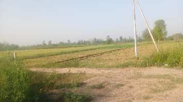  Commercial Land for Sale in Ramgarh, Nainital