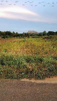  Agricultural Land for Sale in Veppanapalli, Krishnagiri