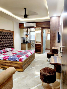 1 BHK Studio Apartment for Rent in Moti Nagar, Delhi
