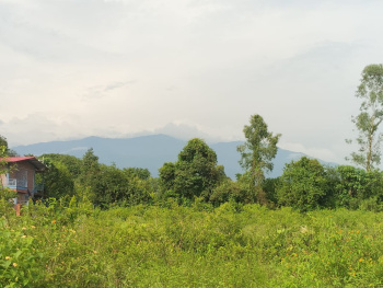  Residential Plot for Sale in Aamwala, Dehradun