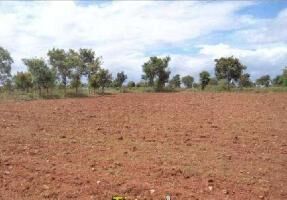  Residential Plot for Sale in Nanpara, Bahraich