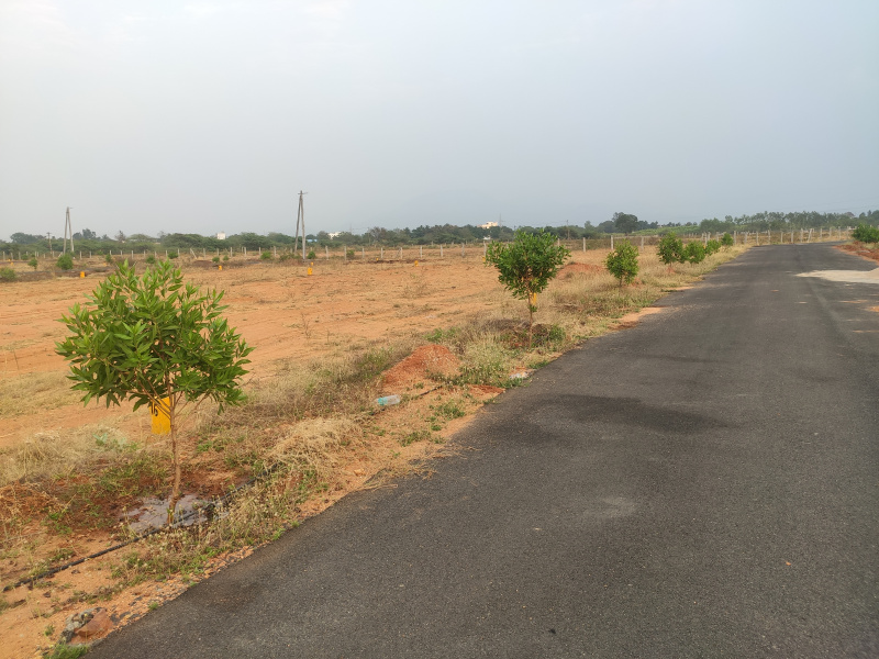  Residential Plot 1800 Sq.ft. for Sale in Renigunta, Tirupati