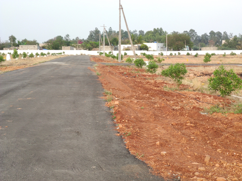  Residential Plot 1800 Sq.ft. for Sale in Renigunta, Tirupati