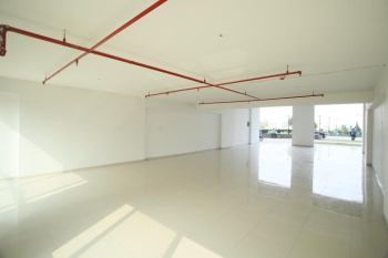  Commercial Shop for Sale in Hinjewadi, Pune