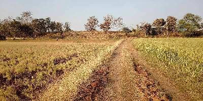  Agricultural Land for Sale in Multai, Betul