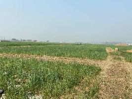  Residential Plot for Sale in Jasra, Allahabad