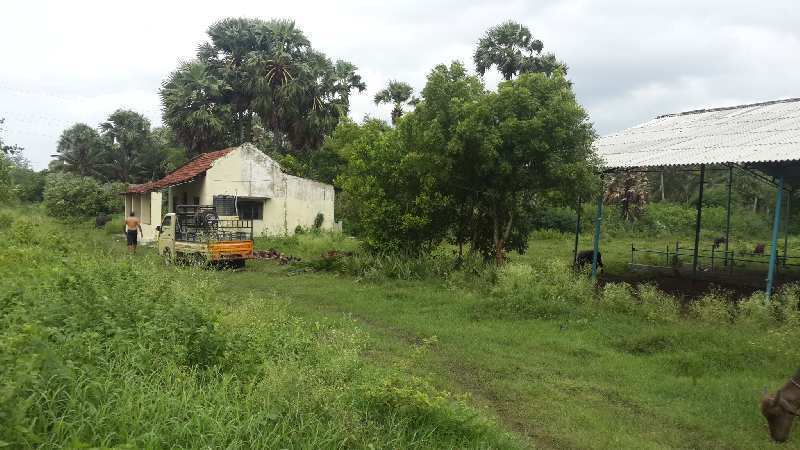 Agricultural Land 4 Acre for Sale in Kozhinjampara, Palakkad