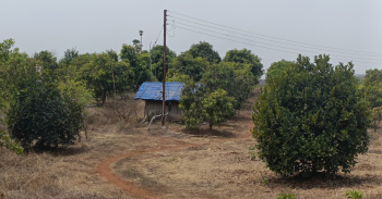  Agricultural Land for Sale in Mangaon, Raigad