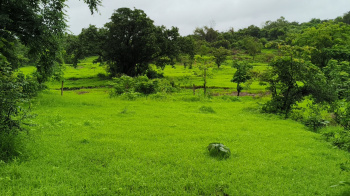  Agricultural Land for Sale in Tala, Raigad